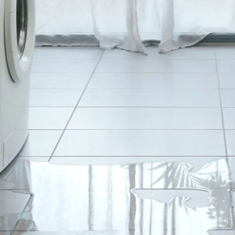 Appliance Leak Cleanup in Marshall, AK