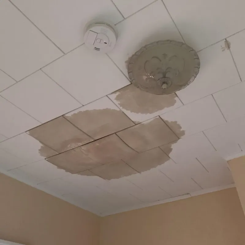 Ceiling Water Damage Repair in Marshall, AK