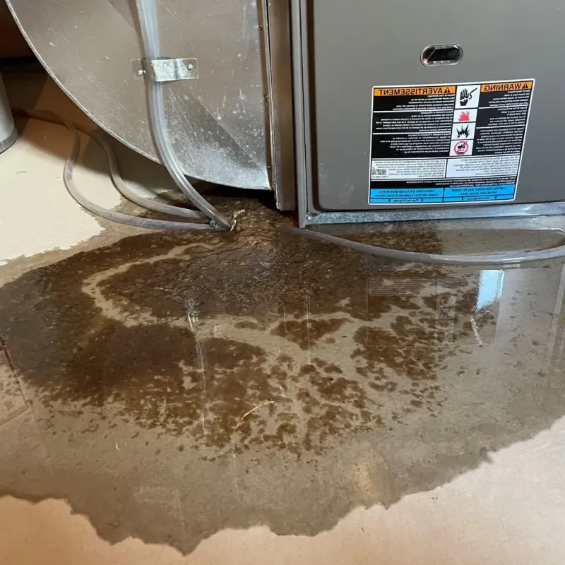 Pipe Burst and Leak Restoration in Marshall, AK