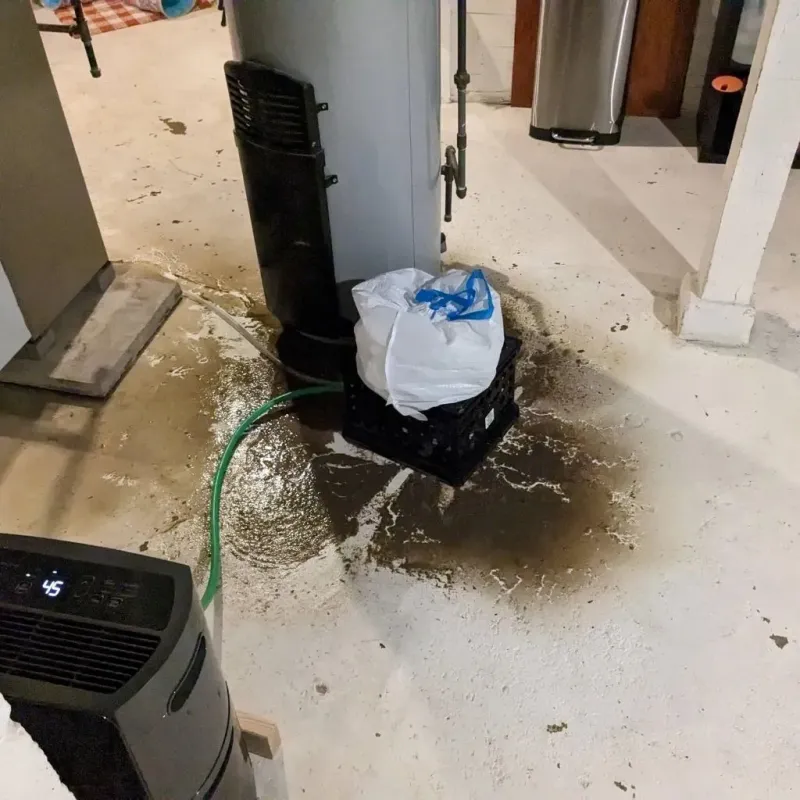 Sewage Backup Cleanup Service in Marshall, AK